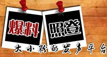 如何向重庆新闻爆料,一键爆料，见证城市变迁